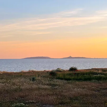 Sunnyside * Torre Grande